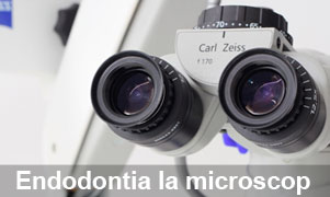Endodontia-la-Microscop